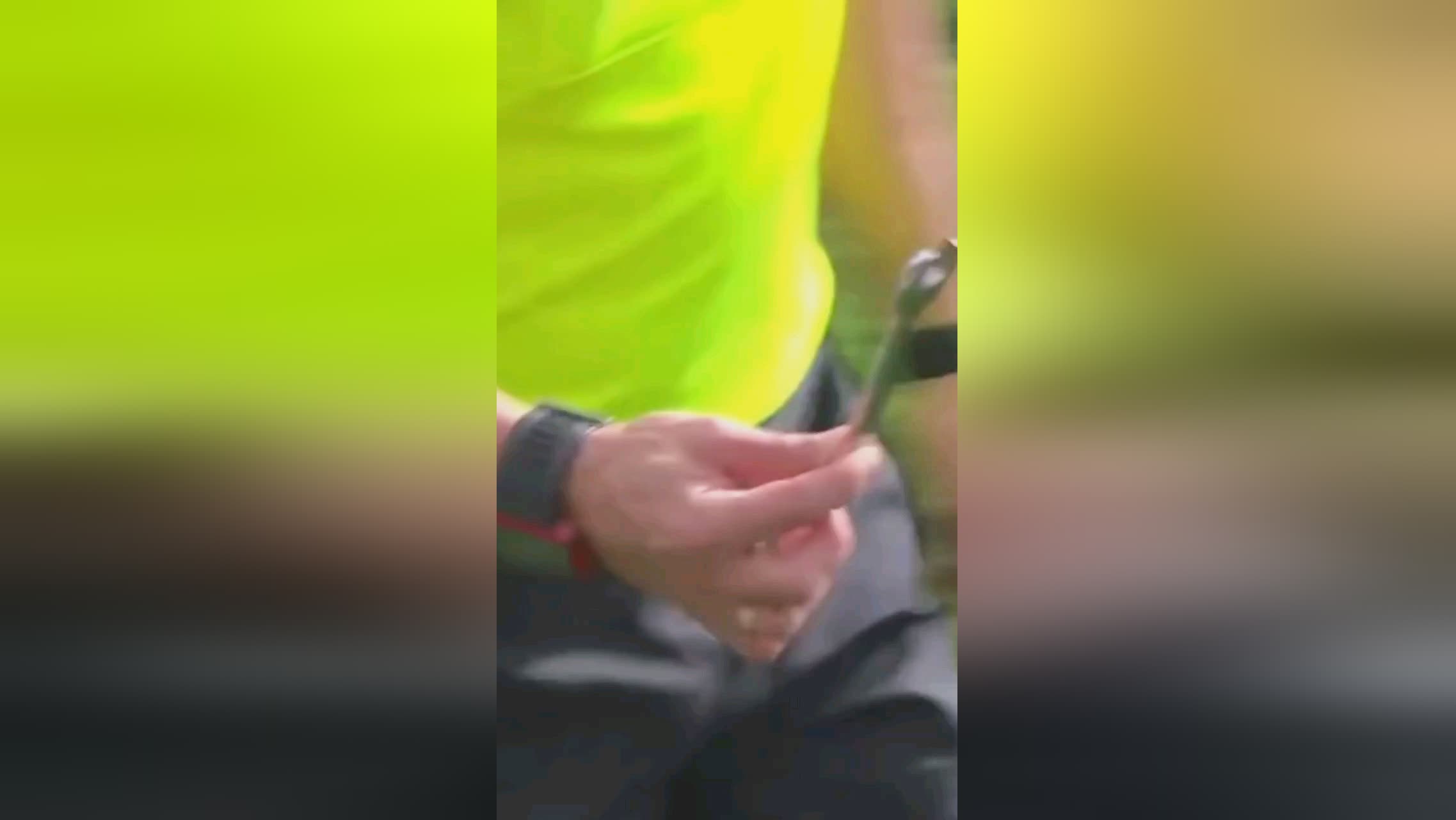 对此进